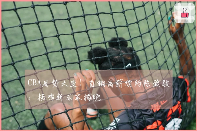 CBA局势大变！首钢高薪续约陈盈骏，杨鸣新东家揭晓